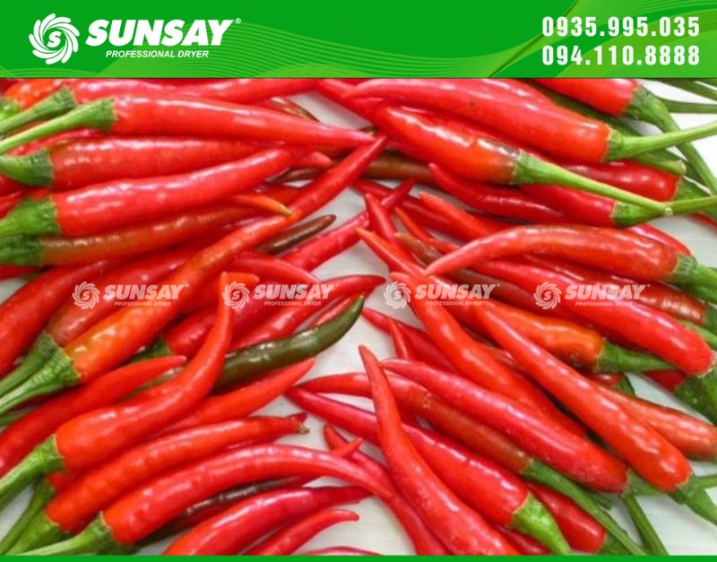 Máy sấy ớt cay