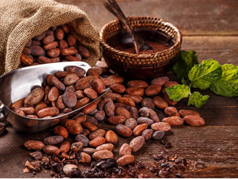 Hạt cacao sấy thăng hoa giữ nguyên được màu sắc