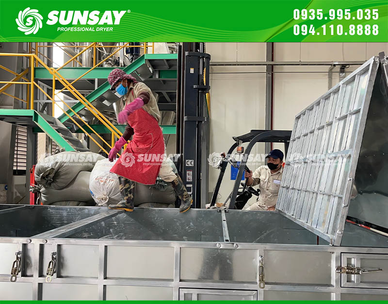 Hạt ngũ cốc được đổ vào thùng sấy, sau đó tẩm thuốc diệt chuột sinh học và sấy khô