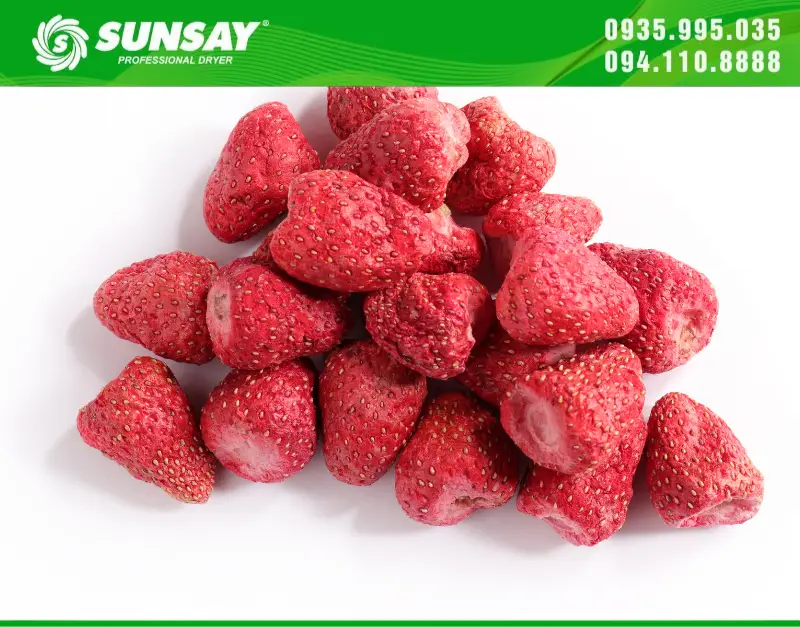 Dâu tây sấy giòn bởi máy sấy thăng hoa SUNSAY có giá trị vao hơn so với dâu tươi