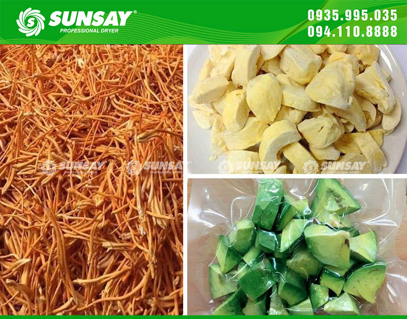 Thực phẩm sấy thăng hoa đang dần khẳng định vị thế trên thị trường nhờ khả năng giữ nguyên hương vị, màu sắc và giá trị dinh dưỡng vượt trội so với các phương pháp sấy truyền thống