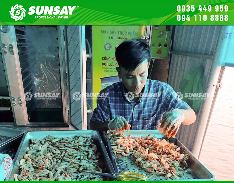 Khách hàng đang sơ chế tôm chín để đưa vào máy sấy nhiệt SUNSAY làm hai sản phẩm là tôm sấy khô và tôm sấy dẻo